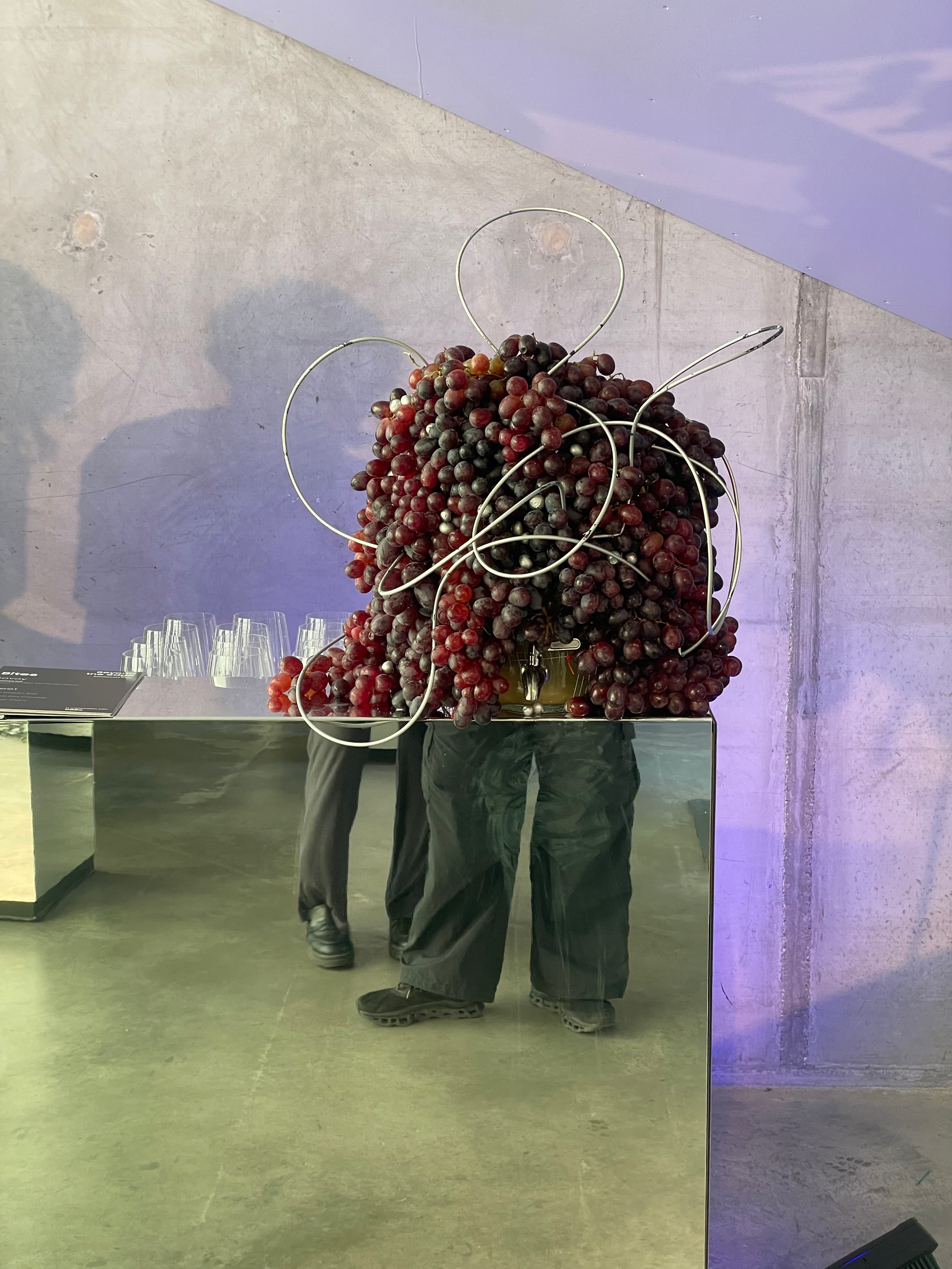 Samsung — launch reception